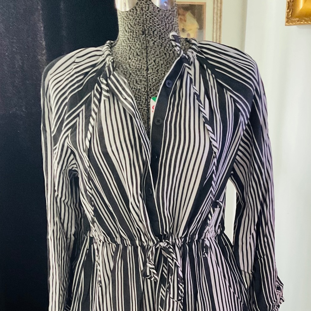 EVERLANE STRIPE MAXI